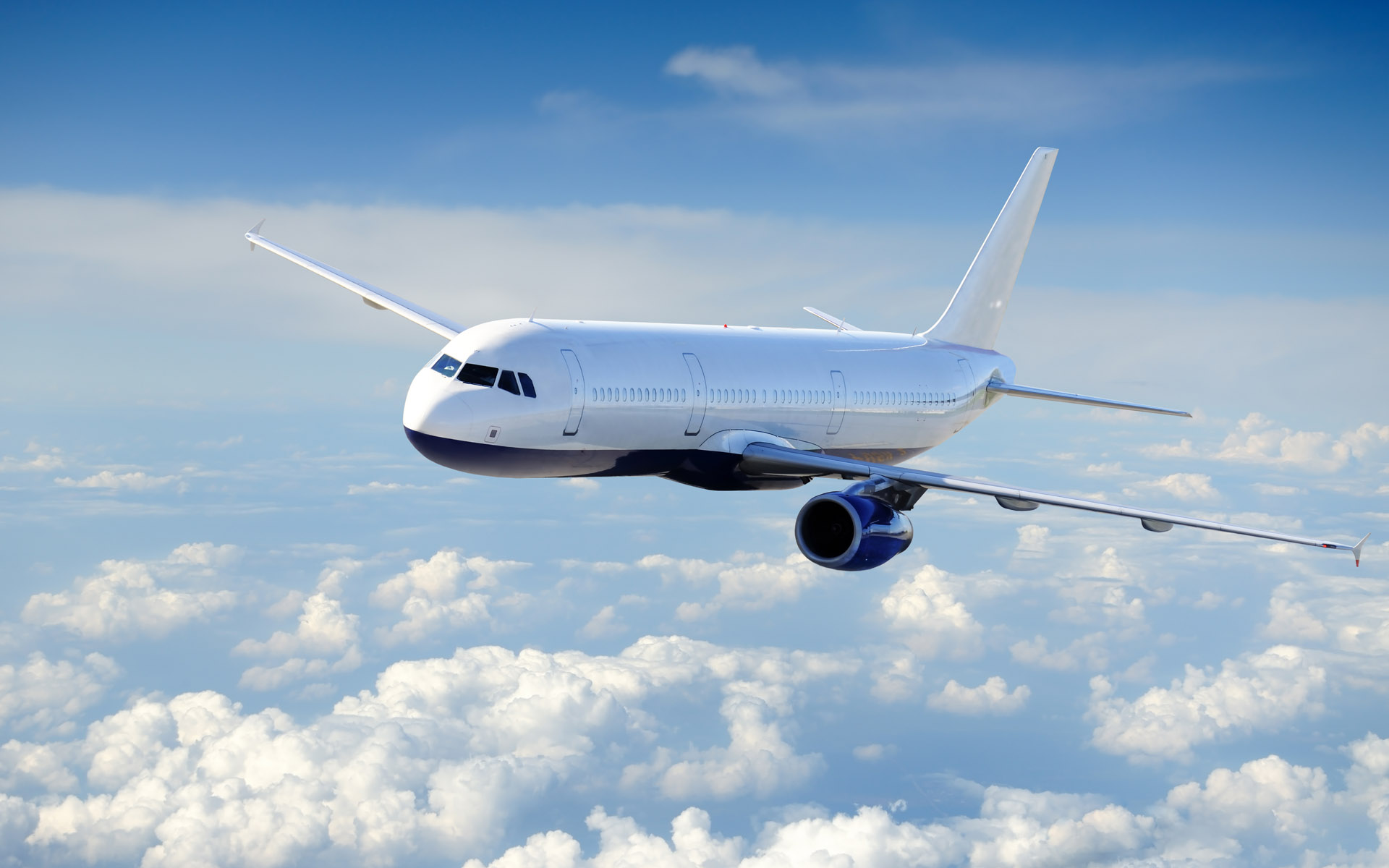 Công ty nào chuyên vận chuyển hàng không quốc tế?