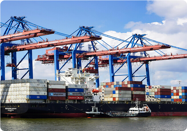 Dịch vụ hải quan & Vận chuyển hàng dự án